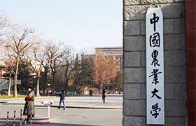 东北林业大学排名_东北林业大学