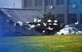 讲座预告 l 国学智慧与“9+1”理论 ——基于中国企业的经营管理模式实践