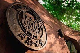 同济经管专业学位2020线上讲座系列预告，听学生校友企业导师谈新冠疫情下的思考与应对