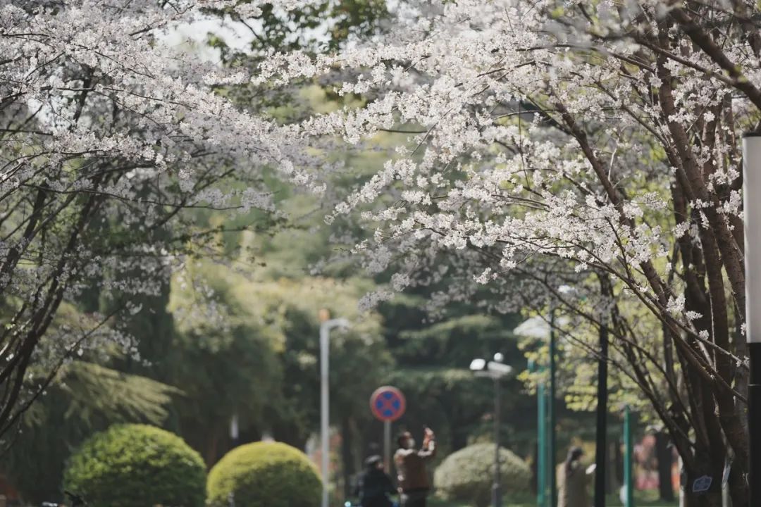 网申延期丨2024年入学上财MBA/EMBA第一批预面试网申截止时间延长至5月3日24时