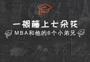 一根藤上七朵花！MBA和他的六个小兄弟