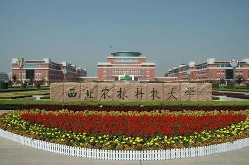 知农悯农 以“梨”扶人—农林科大MBA认购乾县滞销酥梨活动倡议书
