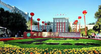 北理学子图鉴 | 2019北理管院专业学位大揭秘