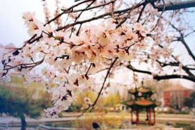 北京交通大学报考点（1104）2019年硕士研究生招生现场确认信息、照相通知