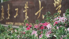 重磅！广工首次入榜泰晤士高等教育世界大学排名前1000名！