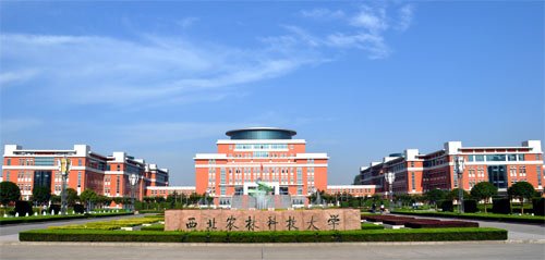 西北农林科技大学2020年非全日制MBA调剂通知