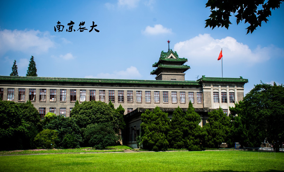 南京农业大学师生积极采用网络模式推进研究生学位论文预答辩工作
