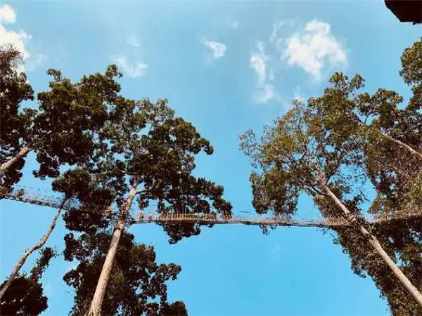 人生是一场马拉松 梦想才是发动机