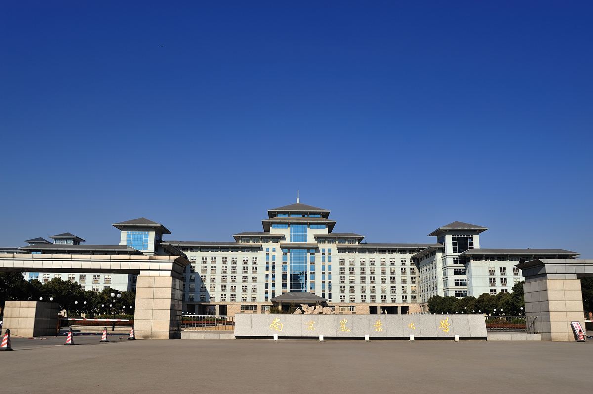 扬帆起航 未来可期 ————记南京理工大学2020级紫金MBA南京玄武湖公园拓展活动