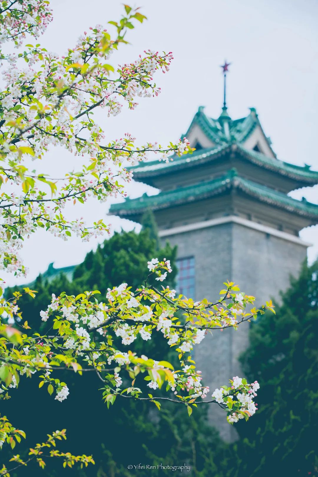 报考点 | 2021年全国硕士研究生招生考试南京农业大学报考点（3210）网上确认公告