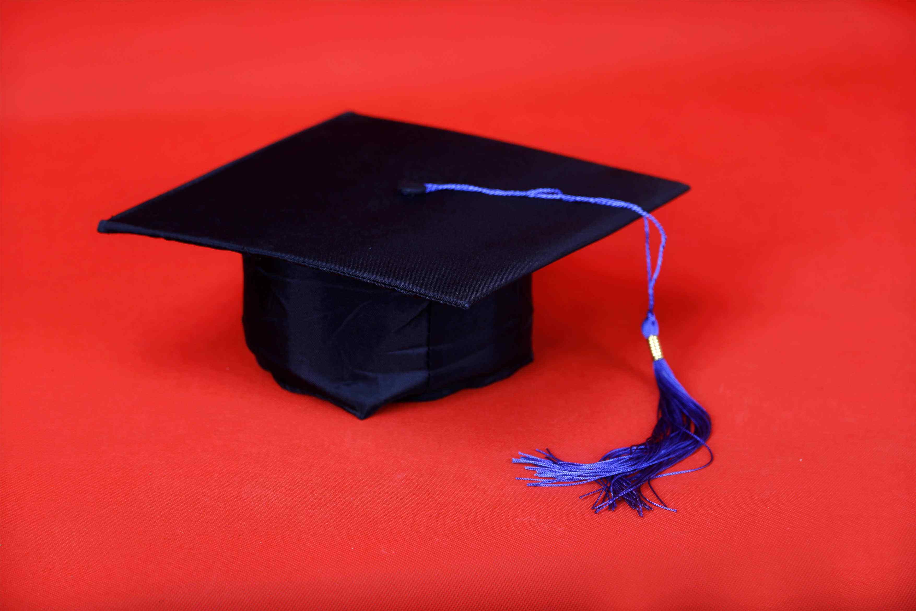 专业学位研究生教育发展方案（2020-2025）