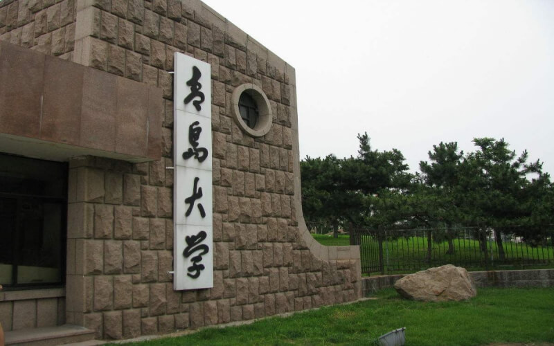 青岛大学MBA专业2021年预调剂公告