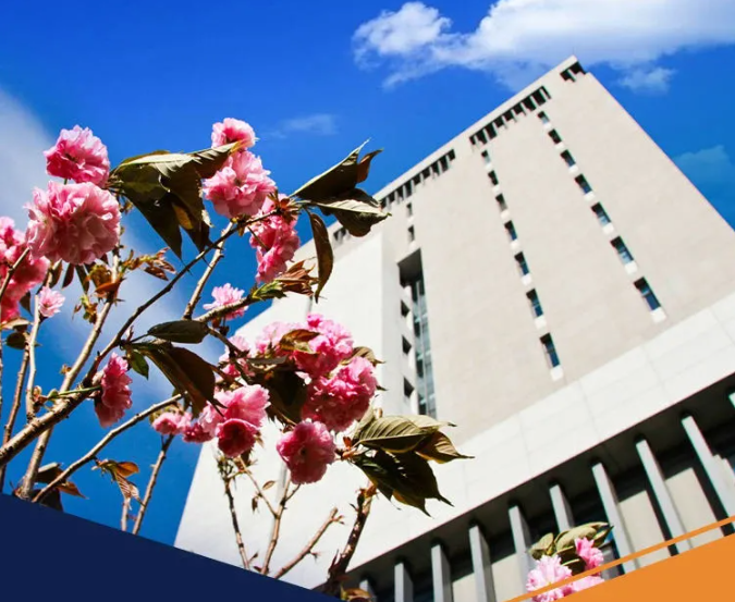 2022中国石油大学（北京）工商管理硕士（MBA）网报流程