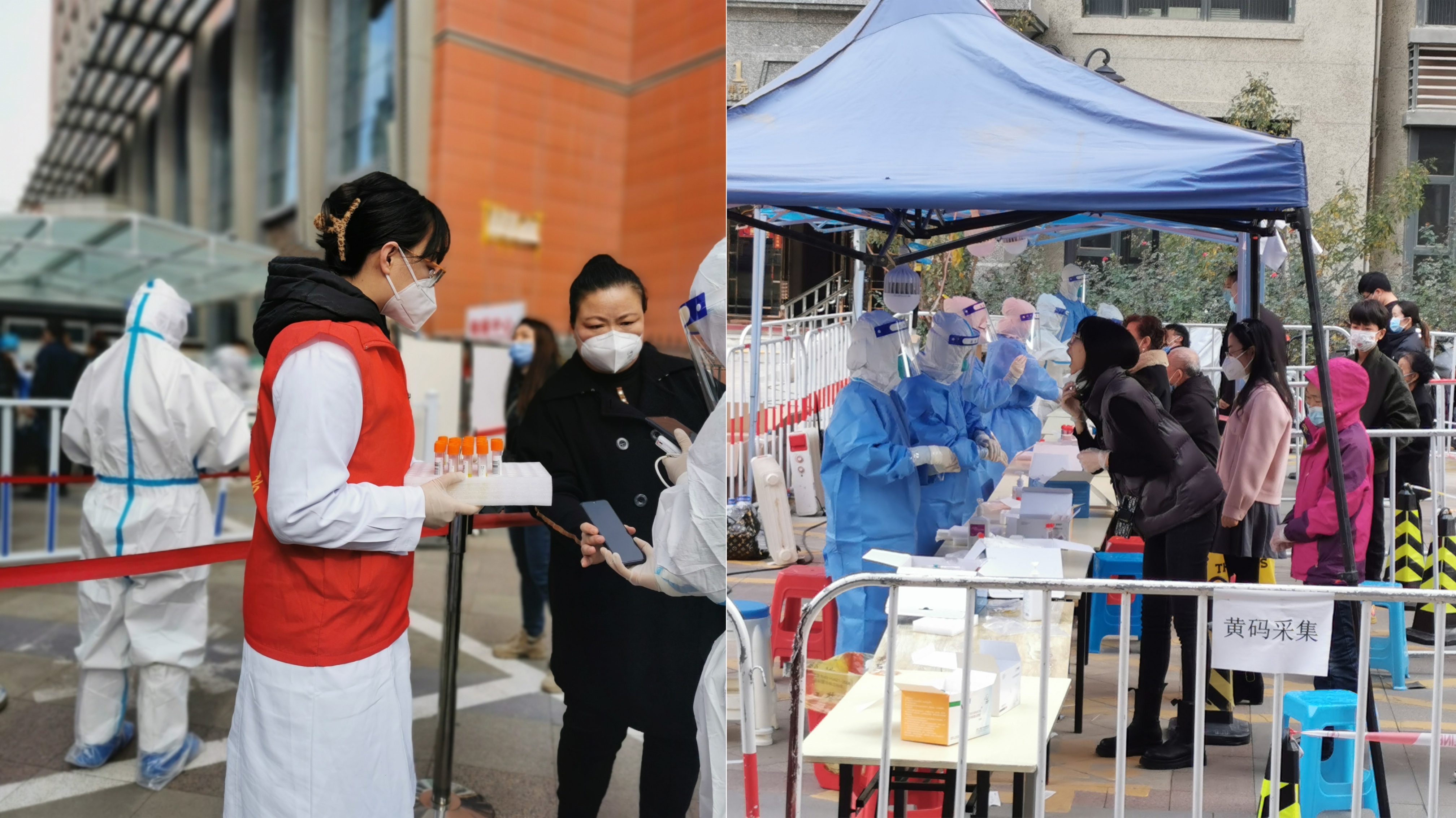 担当与责任｜兰州理工大学MBA学生积极投身各地疫情防控