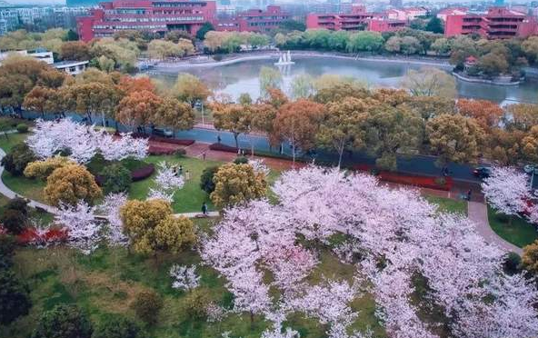 今天，上海交通大学126周岁！祝福您，亲爱的母校