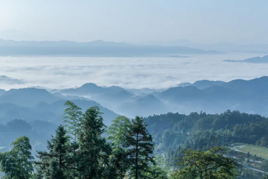 陈春花：一封公开信