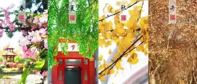 四川大学商学院MBA项目2023年招生简章