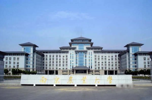 2023年南京农业大学MBA网报指南