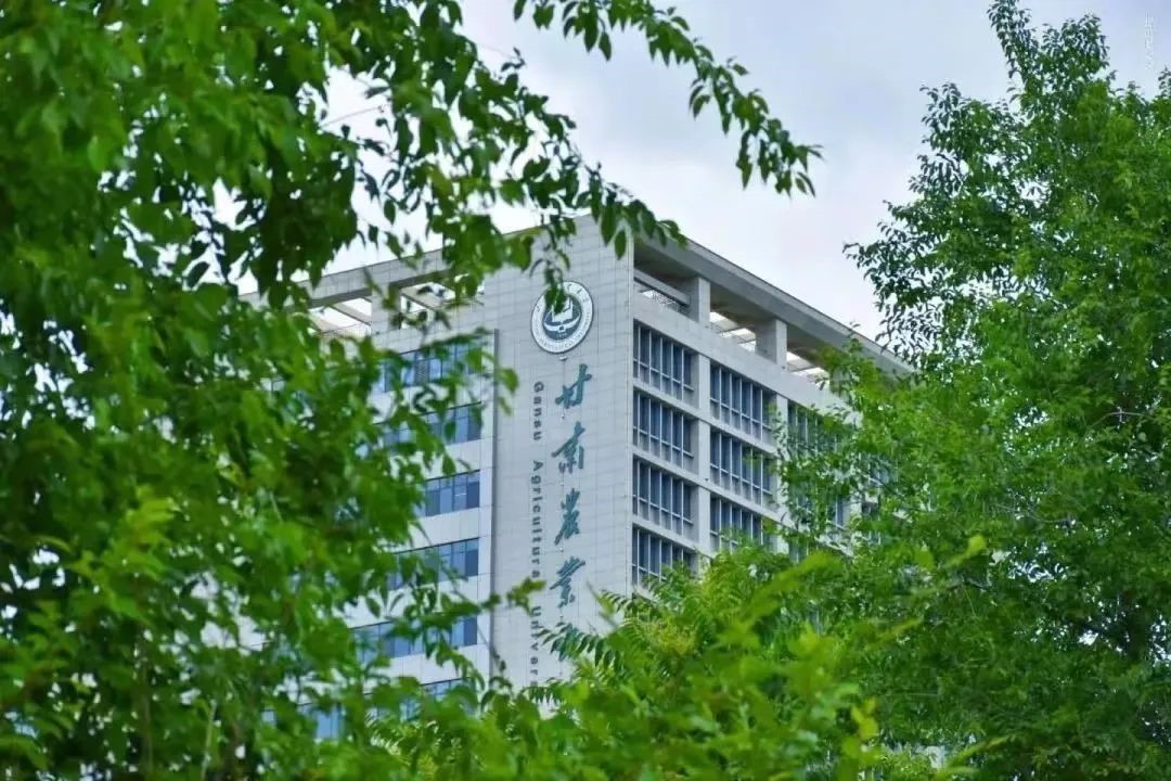 2022央广网MBA教育峰会：甘肃农业大学MBA