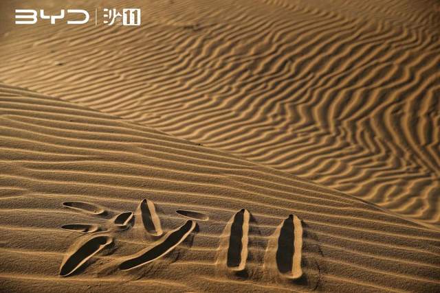 沙场点兵 赛场亮剑——中国地质大学MBA沙11星辰大海战队点将出征沙11
