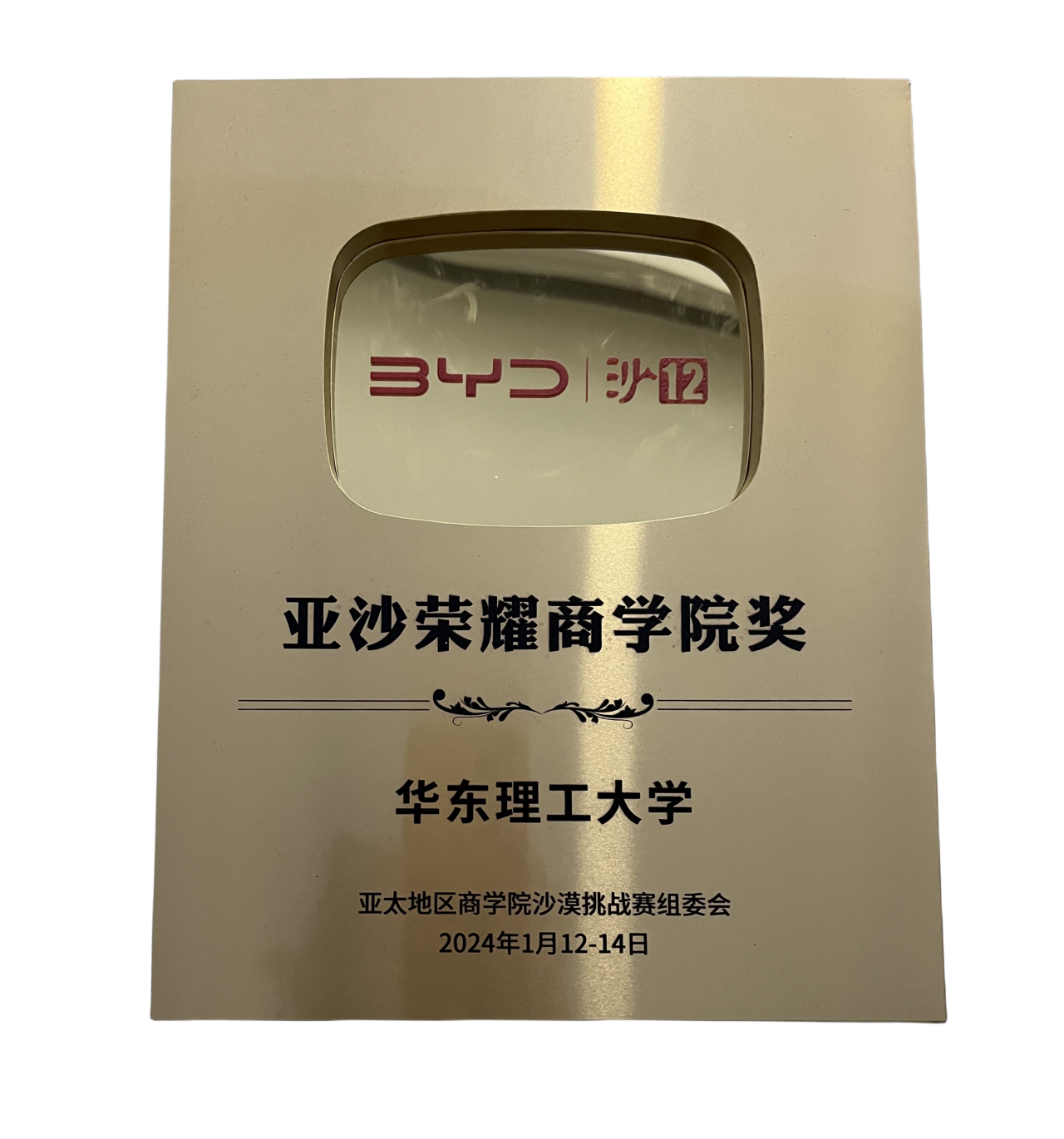 踔厉奋发 勇攀高峰｜华理狼徒腾沙12荣获多项亚沙团队奖项