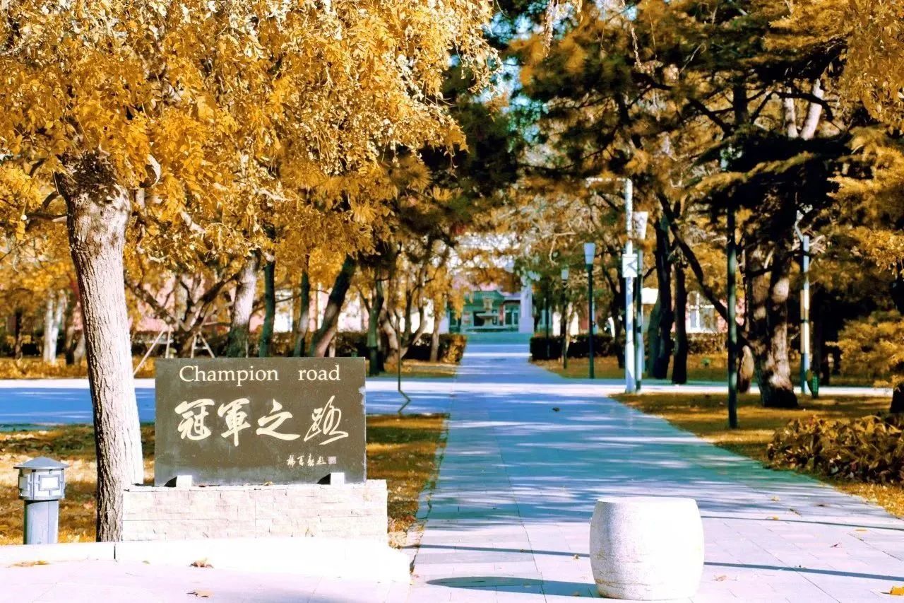 调剂意向登记 | 2024年北京体育大学MBA调剂意向登记及常见问题解答