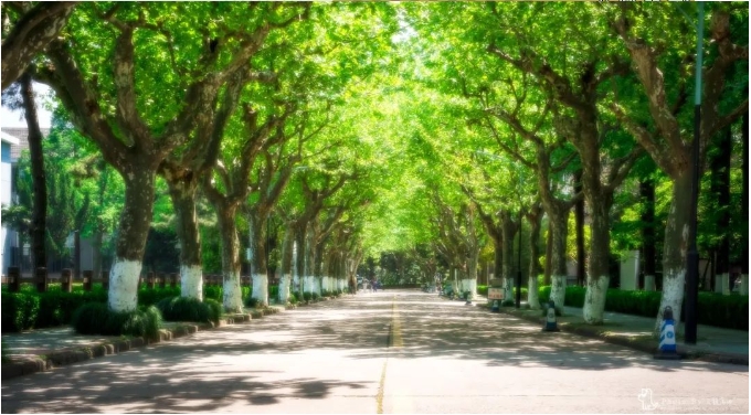 华东理工大学商学院2025级金融硕士(MF)奖助学金方案