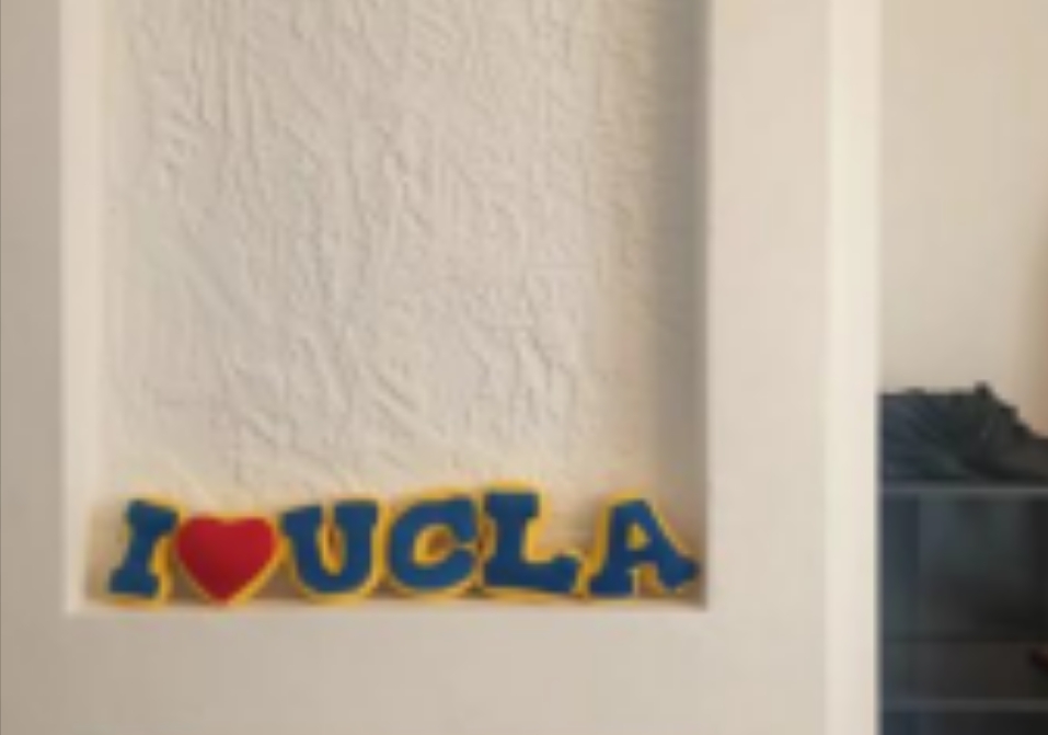 UCLA留学分享