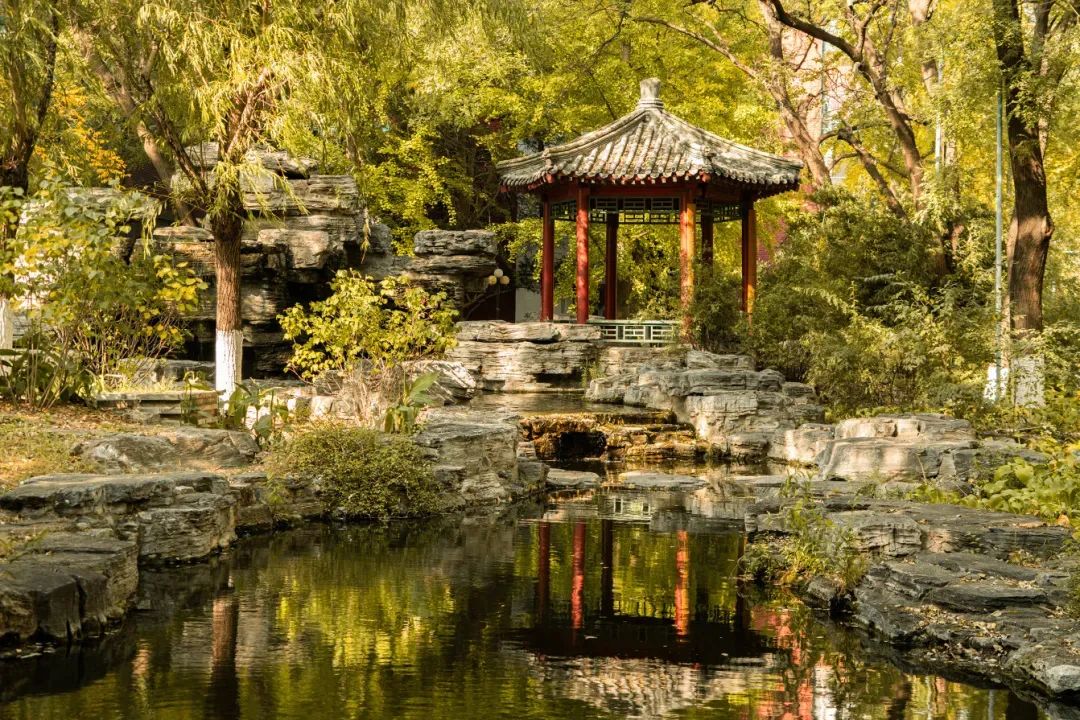答疑 | 2025年全国硕士研究生招生考试中国传媒大学考点（1133）网上确认常见问题