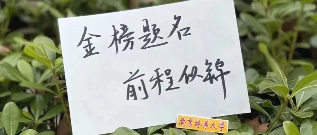 南京林业大学2025MBA招生咨询通道正式开启