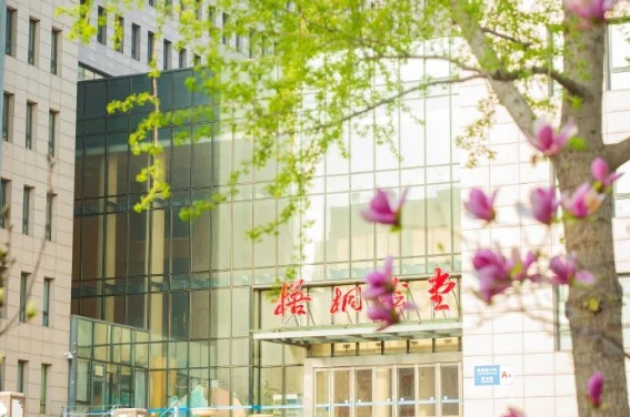 仅剩13个名额，北京语言大学2025年会计专硕接收调剂！