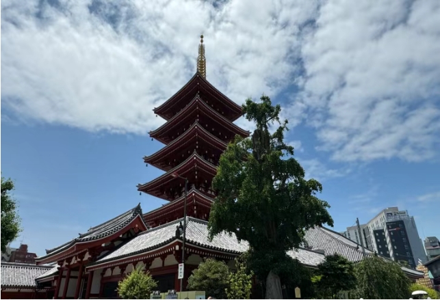 探索日本高等教育学府：北京工业大学MBA学子日本研学之旅启程在即！