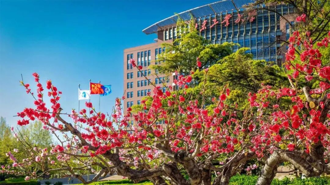 2025央广网MBA暨专业学位研究生教育年度盛典：北京工业大学MBA