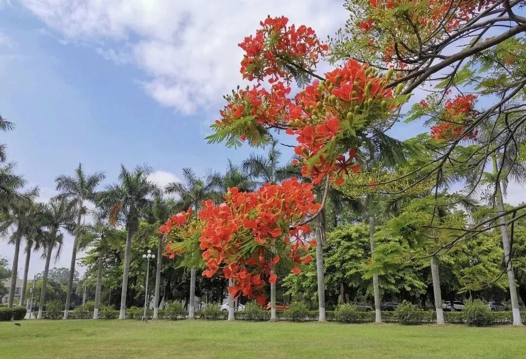 汕头大学商学院2026年MBA报考点网报公告
