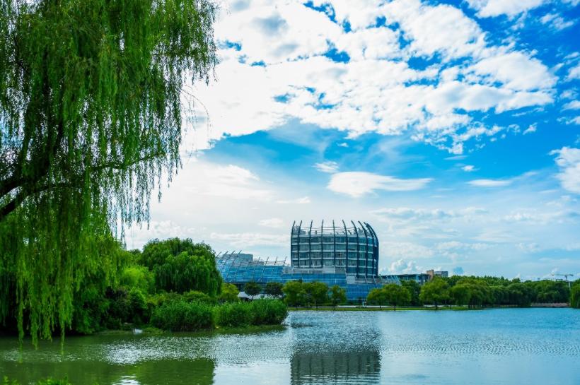 2025央广网MBA暨专业学位研究生教育年度盛典：东华大学MBA