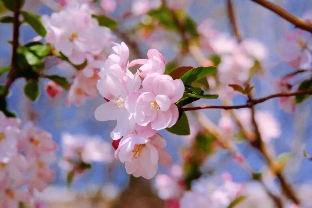 天大经管专硕 | 2026调剂意向采集系统今日开通，你想知道的都在这里！