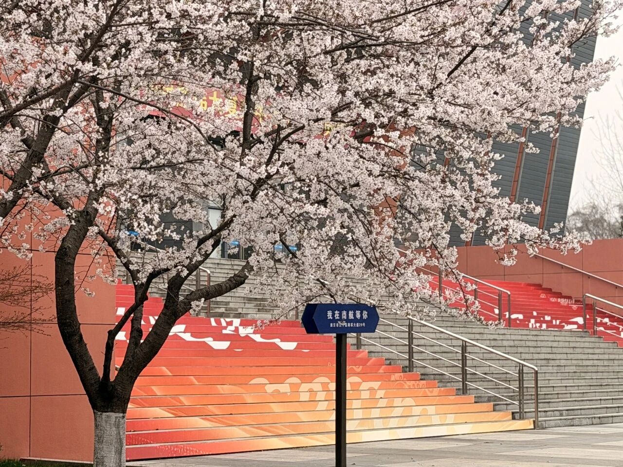 2026南航MBA/MEM/MPAcc调剂意向已开启