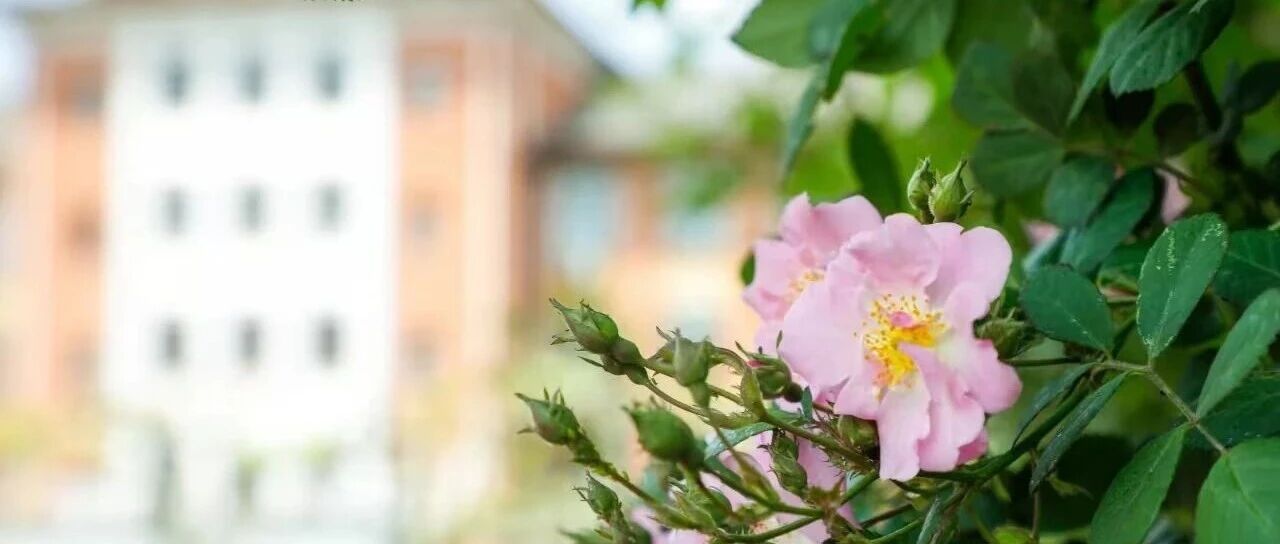 重要通知 | 上海师范大学2026年MBA调剂意向采集系统已开通