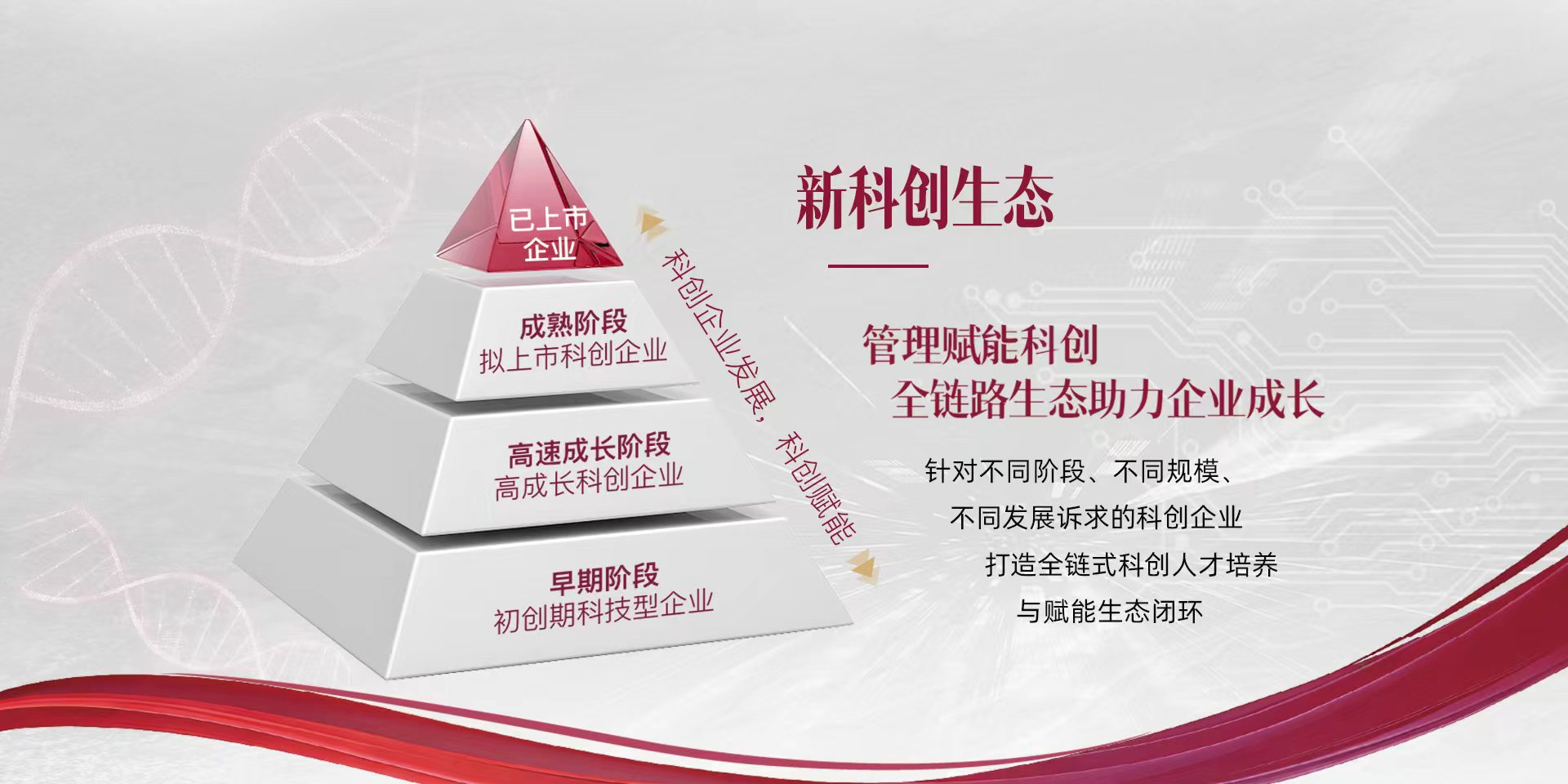 EMBA择校的新坐标：当“科创”成为决定未来的变量