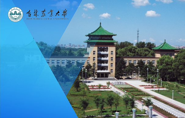 吉林农业大学MBA