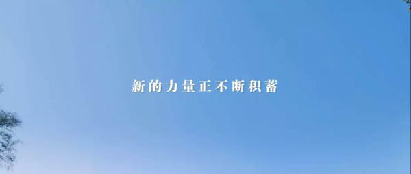 微信图片_20191017201635.jpg
