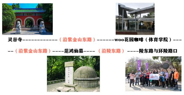 未命名 (11 - 11).jpg