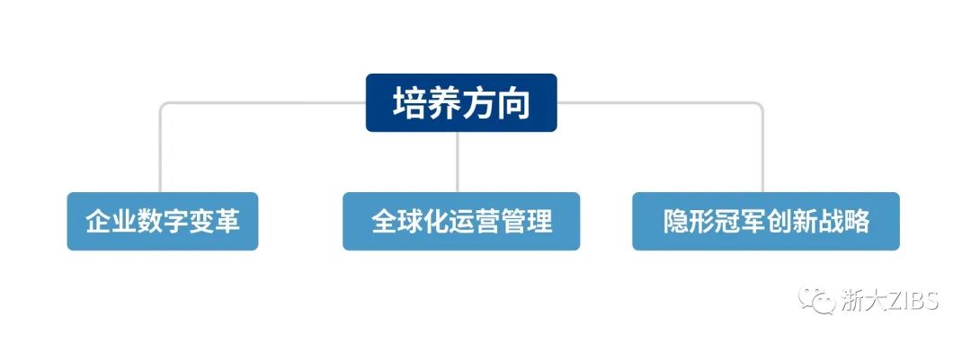 1636597689334545.jpg