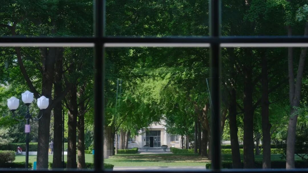 1762164445391450.jpg 4.jpg