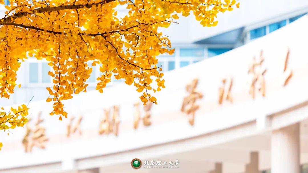 1762164562248407.jpg 8.jpg